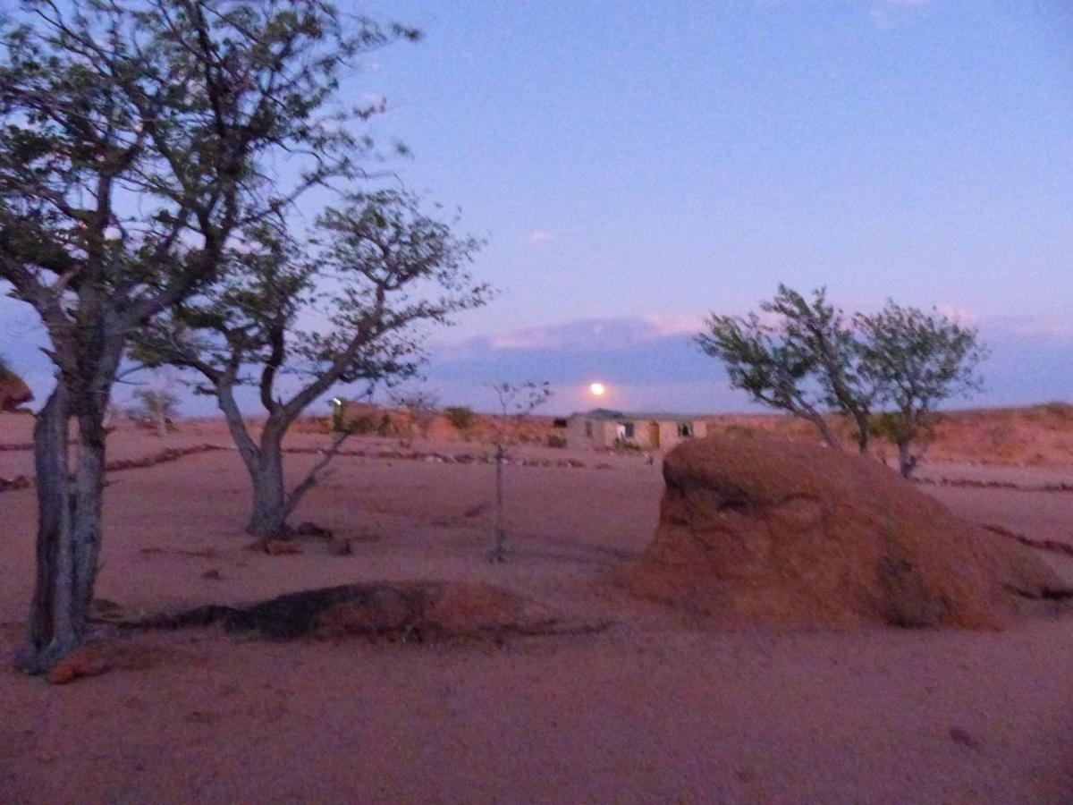 Ozohere Campsite And Himba Village Uis Exteriör bild